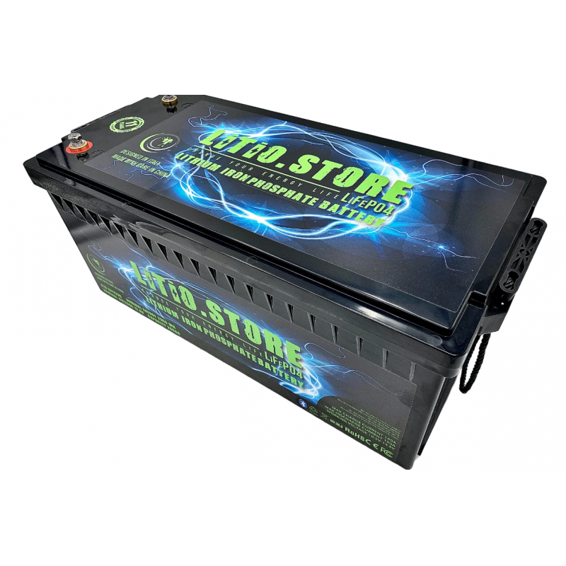 Batterie LiFePO4 24V 100Ah - 1